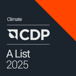 Logo CDP 2025